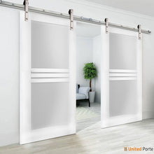 Cargar imagen en el visor de la galería, Mela 7222 White Silk Double Barn Door with 4 Lites Frosted Glass | Silver Finish Rail
