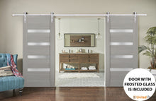 Cargar imagen en el visor de la galería, Quadro 4113 Grey Ash Double Barn Door with Frosted Glass | Silver Finish Rail
