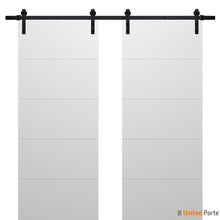 Cargar imagen en el visor de la galería, Planum 0770 Painted White Matte Double Barn Door and Black Rail
