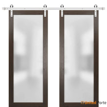 Carregar imagem no visualizador da galeria, Planum 2102 Chocolate Ash Double Barn Door with Frosted Glass and Silver Rail
