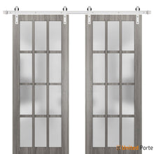 Carregar imagem no visualizador da galeria, Felicia 3312 Ginger Ash Grey Double Barn Door with 12 Lites Frosted Glass and Silver Rail
