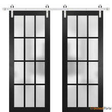 Load image into Gallery viewer, Felicia 3312 Matte Black Double Barn Door with Frosted Glass and Silver Rail
