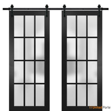 Carregar imagem no visualizador da galeria, Felicia 3312 Matte Black Double Barn Door with Frosted Glass and Black Rail
