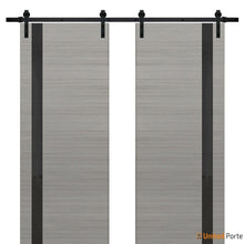 Cargar imagen en el visor de la galería, Planum 0040 Grey Ash Double Barn Door with Black Glass and Black Rail
