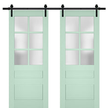 Cargar imagen en el visor de la galería, Veregio 7339 Oliva Double Barn Door with Frosted Glass and Black Rail
