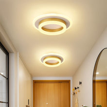 Carregar imagem no visualizador da galeria, Doveva Ceiling Light
