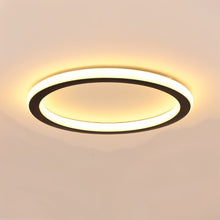 Carregar imagem no visualizador da galeria, Doveva Ceiling Light
