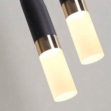 Carregar imagem no visualizador da galeria, Duple Pendant Light
