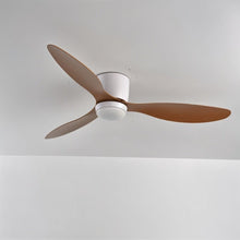 Carregar imagem no visualizador da galeria, Era Ceiling Fan
