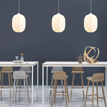 Load image into Gallery viewer, Fibra Pendant Light
