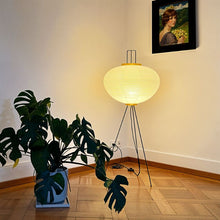 Carregar imagem no visualizador da galeria, Guro Floor Lamp
