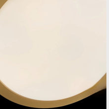 Carregar imagem no visualizador da galeria, Henu Ceiling Lamp
