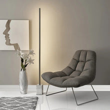 Load image into Gallery viewer, Hestia Floor Lamp
