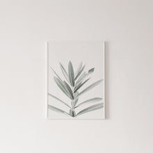 Carregar imagem no visualizador da galeria, Botanical Canvas Paintings (3 Pack)
