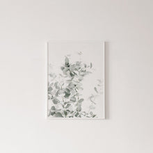 Cargar imagen en el visor de la galería, Botanical Canvas Paintings (3 Pack)
