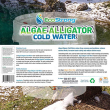 Cargar imagen en el visor de la galería, Cold Water Algae Alligator
