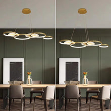 Carregar imagem no visualizador da galeria, Jyoti Round Chandelier
