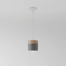 Carregar imagem no visualizador da galeria, Laetus Pendant Light
