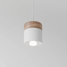 Carregar imagem no visualizador da galeria, Laetus Pendant Light
