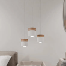 Carregar imagem no visualizador da galeria, Laetus Pendant Light
