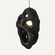 Load image into Gallery viewer, Lehota Pendant Light
