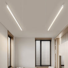 Carregar imagem no visualizador da galeria, Ligne Ceiling Light
