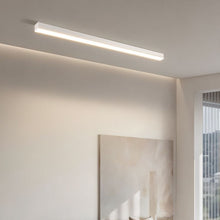 Carregar imagem no visualizador da galeria, Ligne Ceiling Light
