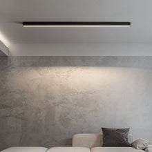 Carregar imagem no visualizador da galeria, Ligne Ceiling Light
