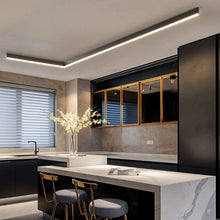 Carregar imagem no visualizador da galeria, Ligne Ceiling Light
