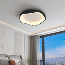 Carregar imagem no visualizador da galeria, Miray Ceiling Light
