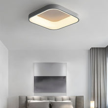 Carregar imagem no visualizador da galeria, Miray Ceiling Light
