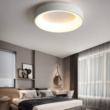 Carregar imagem no visualizador da galeria, Miray Ceiling Light
