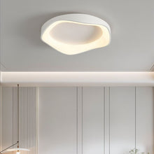 Carregar imagem no visualizador da galeria, Miray Ceiling Light
