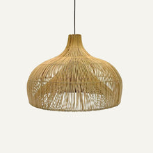 Cargar imagen en el visor de la galería, Phoin Pendant Light
