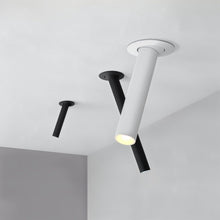 Carregar imagem no visualizador da galeria, Photine Ceiling Light
