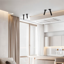 Carregar imagem no visualizador da galeria, Photine Ceiling Light
