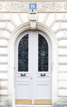 Carregar imagem no visualizador da galeria, Marseilles Double Iron Doors

