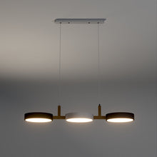 Carregar imagem no visualizador da galeria, Rangeen Pendant Light
