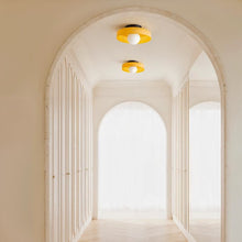 Carregar imagem no visualizador da galeria, Solia Ceiling Light
