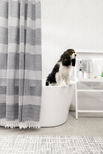 Load image into Gallery viewer, Tucker Stripe Yarn Dyed Knotted Tassel Shower Curtain
