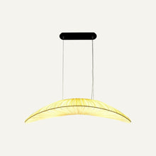 Load image into Gallery viewer, Tukan Pendant Light
